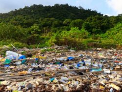 Pengertian Polusi Tanah dan Dampaknya Bagi Lingkungan